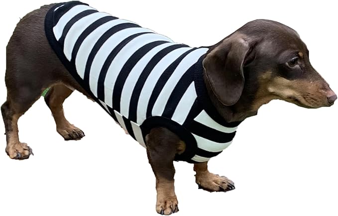 Dachshund Clothes for Dogs Mini and Adults T Shirts (M