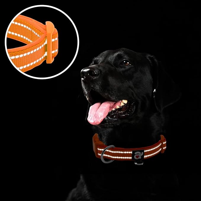 azuza Reflective Dog Collar