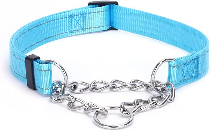 Martingale Dog Collar with Stainless Steel Chain and Leash Set 5FT Double