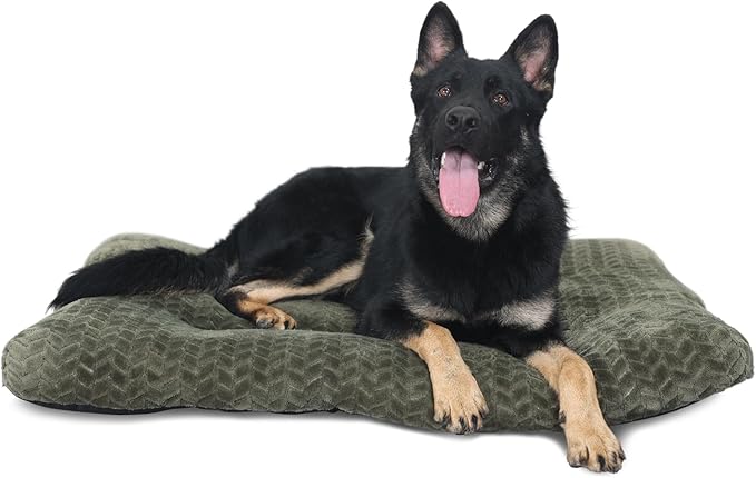 Large Dog Crate Bed 42 Inch Dog Crate 90 lbs