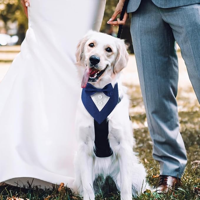 Dog Wedding Bandana, Formal Dog Tuxedo Adjustable Pet Collar with Bow, Small, Medium and Large Dog Wedding Clothing, Birthday Gifts for Dogs (Medium, Blue)