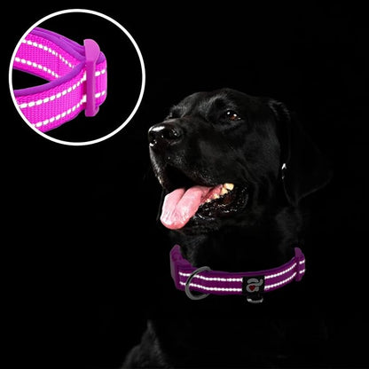azuza Reflective Dog Collar