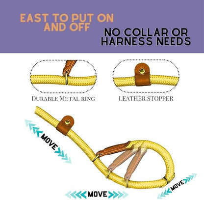 Slip Leads for Dogs (5 Foot 1/2")