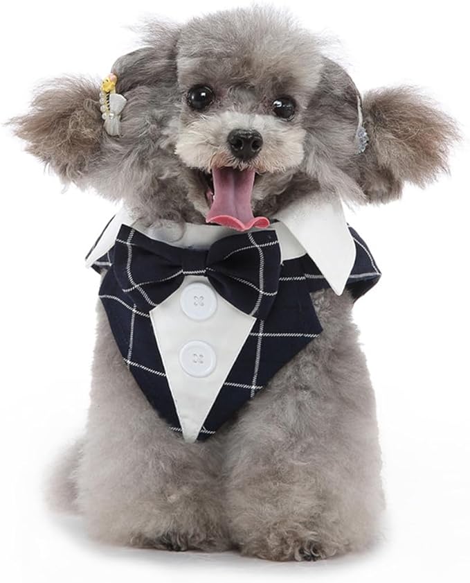 Puppy Tuxedo with Detachable Bowtie Prom Wedding Formal Wear Prince Costume for Small Dog (X-Large, Blue Plaid)