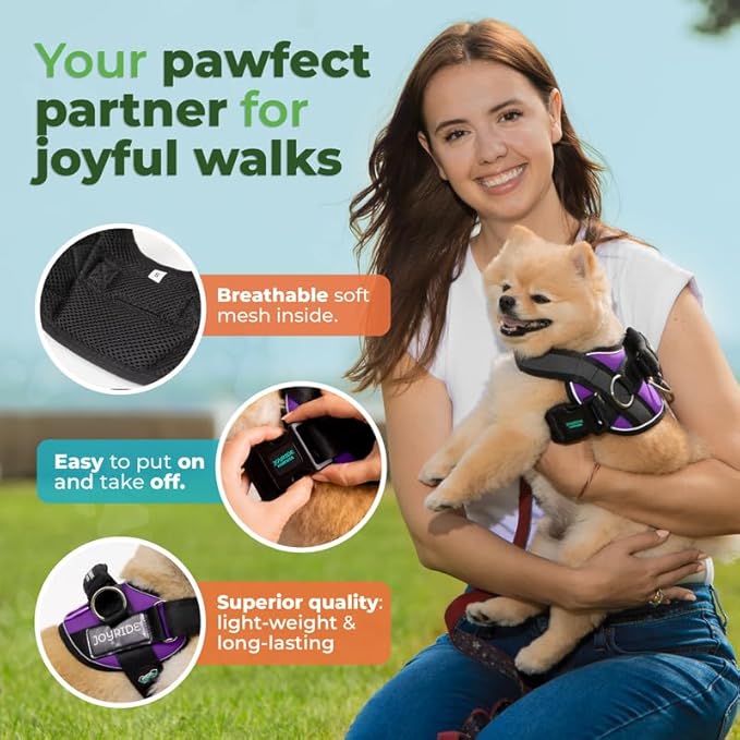 Joyride Harness 2.0 - The Original Side Ring No Pull Dog Harness - No Choke, Escape Proof, Reflective, 3 Leash Clips, Quick Fit Pet Vest - Easy Walks & Training - for Small, Medium & Large Dogs