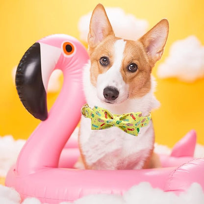 Elegant little tail Dog Collar with Bow