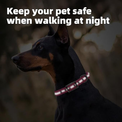 PUPTECK Heavy Duty Dog Collar with Handle Bungee for Small Medium Large Dogs