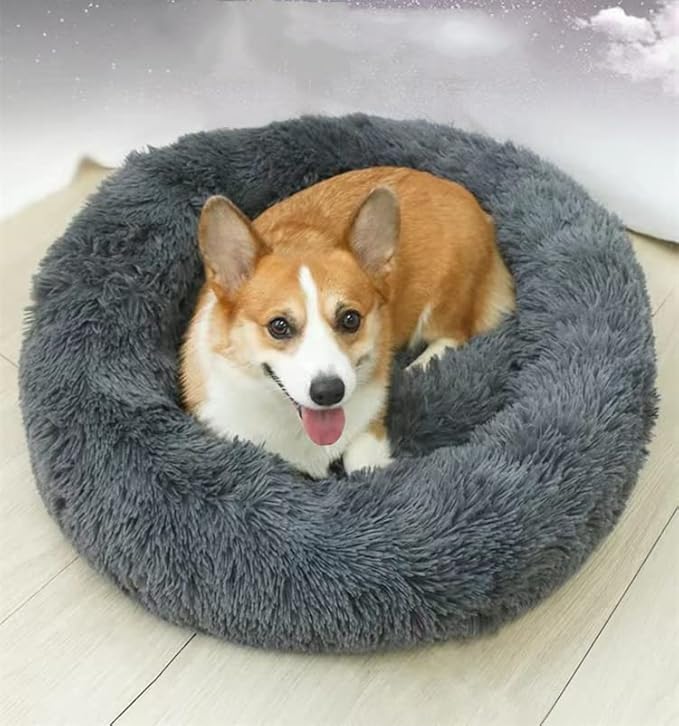 Geizire Dog Bed for Small and Medium Dogs