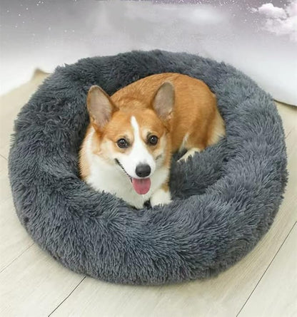 Geizire Dog Bed for Small and Medium Dogs