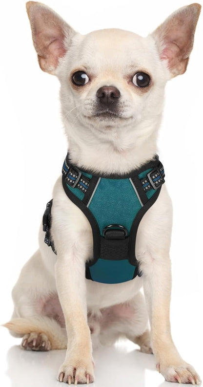 rabbitgoo Dog Harness, No-Pull Pet Harness with 2 Leash Clips, Adjustable Soft Padded Dog Vest, Reflective No-Choke Pet Oxford Vest with Easy Control Handle for Small Dogs, Blue Coral, XS