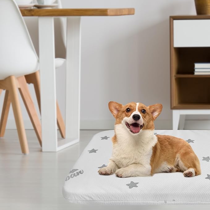 Biloban Waterproof Dog Beds for (Large) Dogs