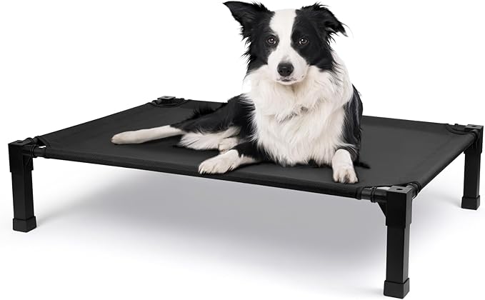 Cooling Elevated Dog Bed