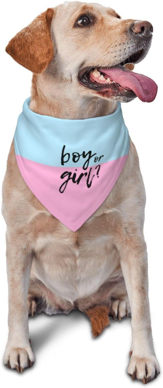 He Or She What Will It Be? Gender Reveal/Baby Announcement Dog Bandana,Pet Neckerchief for Pets Daily Wear Photo Prop Party Supplies (boy or Girl)