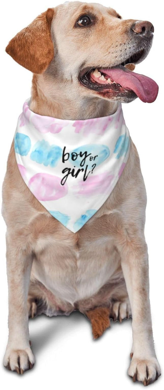 He Or She What Will It Be? Gender Reveal/Baby Announcement Dog Bandana,Pet Neckerchief for Pets Daily Wear Photo Prop Party Supplies (Color Block-1)