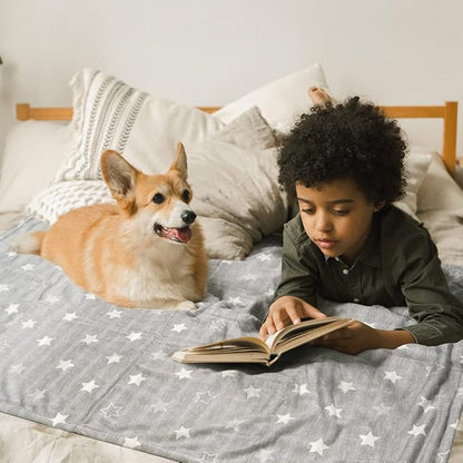 ARGOPET Dog Cooling Blanket 41 * 30inch Lightweight