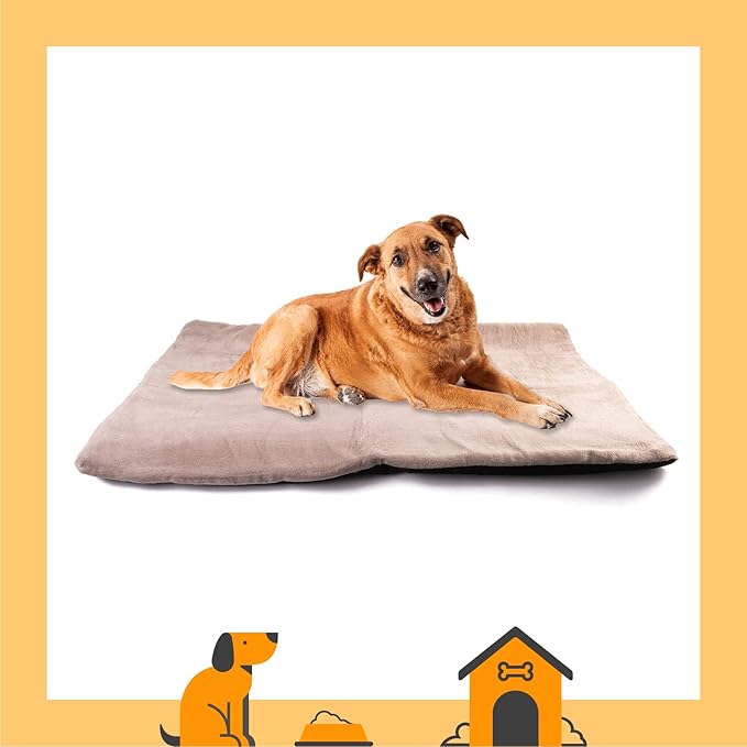 Dog Mat 17.7 x 23.6 in