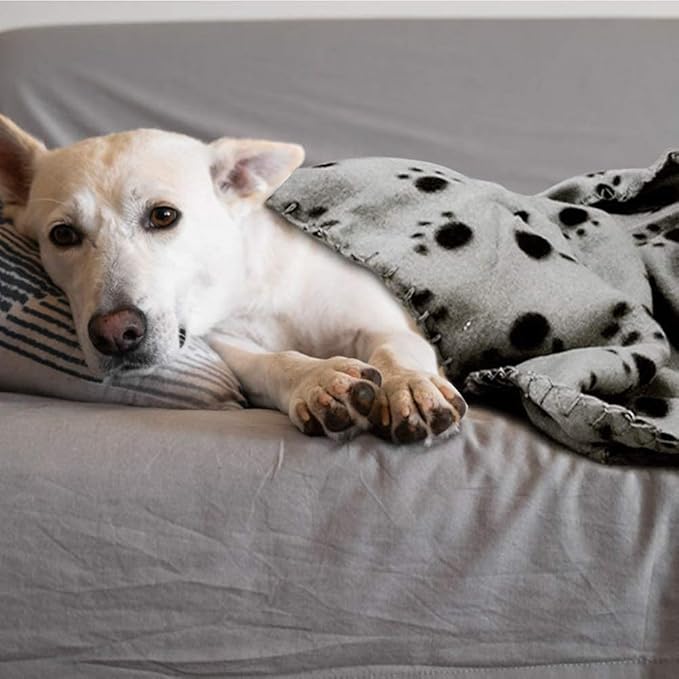Comsmart Pet Blanket Dog Cat Soft Fleece Blankets Sleep Mat Pad Bed Cover with Paw Print for Kitten Puppy and Other Small Animals 6 Pack 39x31 Inches