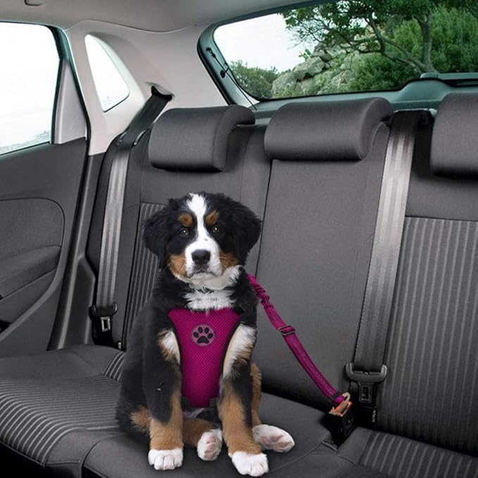 Lukovee Dog Seat Belt for Car, Adjustable Dog Car Harness for Large Medium Small Dogs, Soft Padded & Breathable Mesh Dog Seatbelt with Car Vehicle Connector Strap (Rose Red,Large)