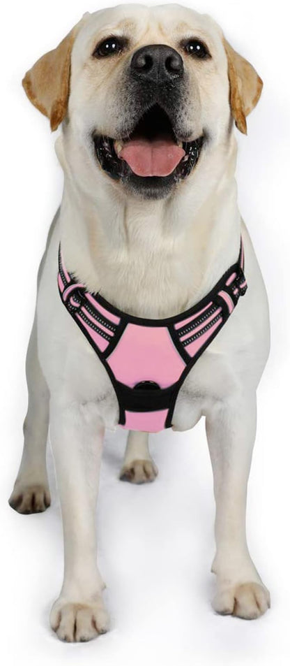 rabbitgoo Dog Harness 2 Leash