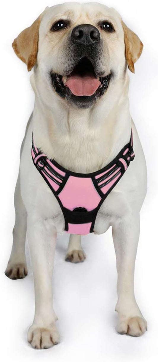 rabbitgoo Dog Harness 2 Leash