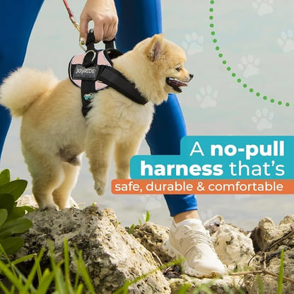 Joyride Harness 2.0 - The Original Side Ring No Pull Dog Harness - No Choke, Escape Proof, Reflective, 3 Leash Clips, Quick Fit Pet Vest - Easy Walks & Training - for Small, Medium & Large Dogs