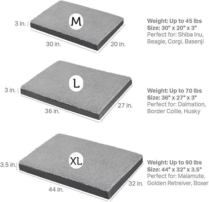 Friends Forever Orthopedic Dog Bed 36x27x3