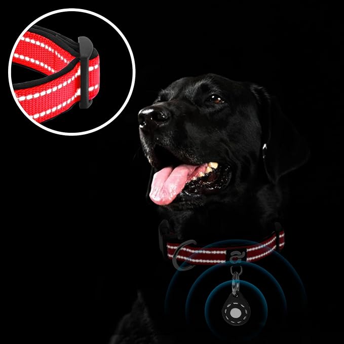 azuza Reflective Dog Collar with Airtag Holder