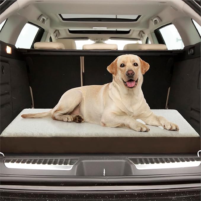 Friends Forever Orthopedic Dog Bed 36x27x3