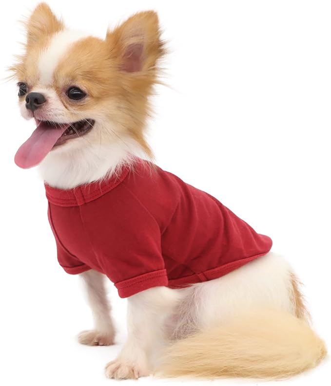 LOPHIPETS 100% Cotton Dog Tee Shirt for Small