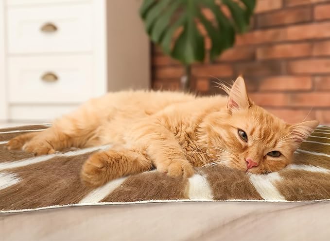 Van Ness Pets Vetbed Dog Bed 39.5" x 29.5"