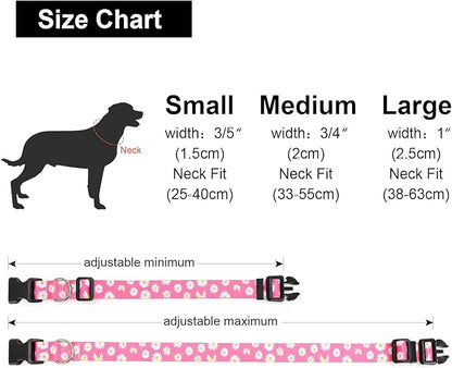 Adjustable Dog Collar with Patterns