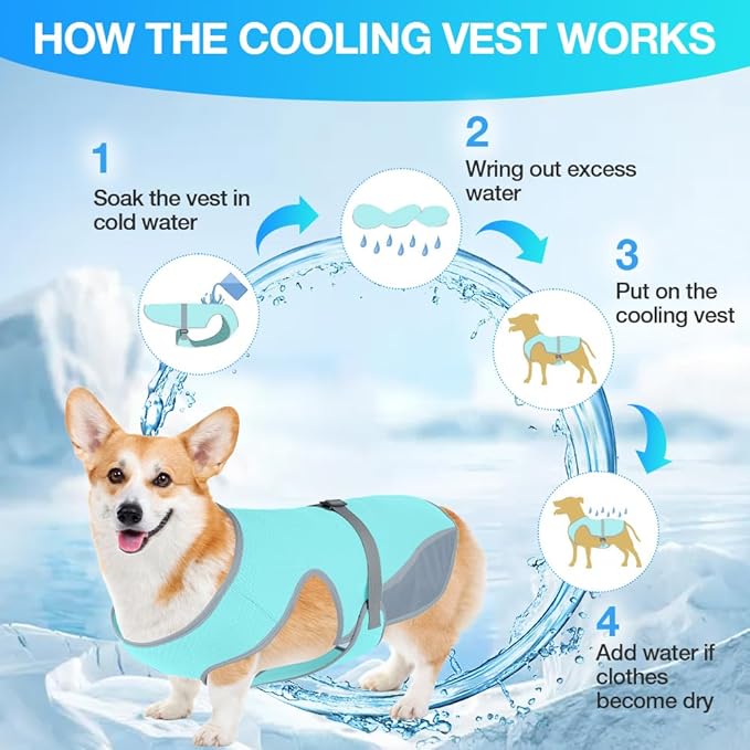 Dog Cooling Vest for Summer, Lightweight Jacket Dog Cooling Shirt, UV Protection Cooling Harness for Outdoor Activity with Breathable Mesh (Blue, Medium)