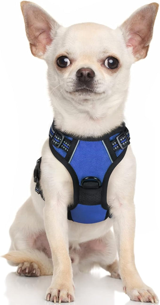rabbitgoo Dog Harness 2 Leash