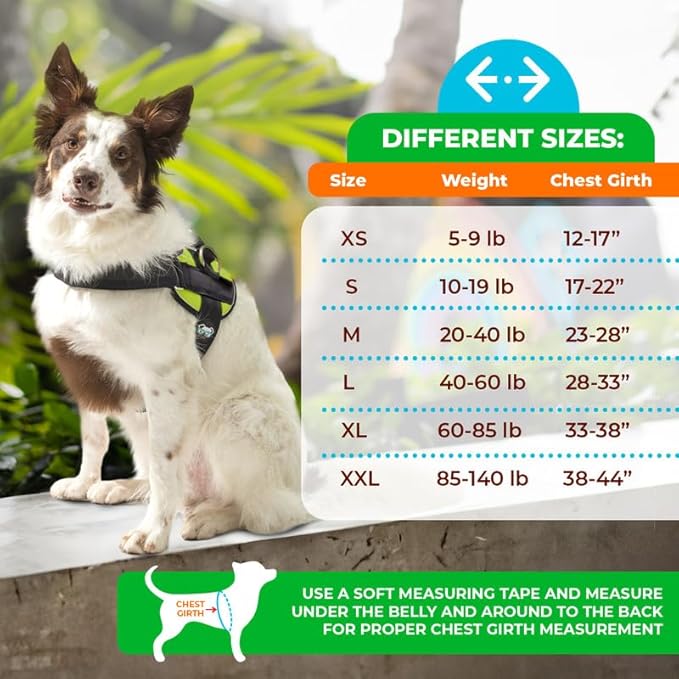 Joyride Harness 2.0 3 Leash