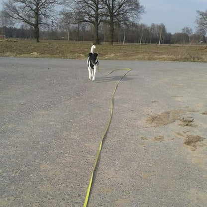 Long Leash Waterproof Training Longline Outdoor Dog Leash Great for Training