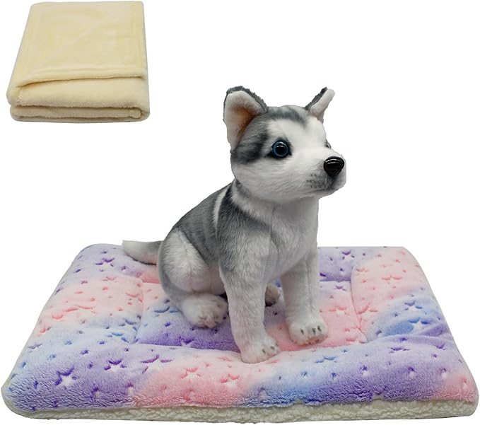 Cat Dog Bed Mat & Blanket