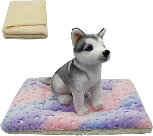 Cat Dog Bed Mat & Blanket