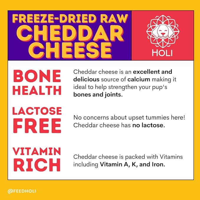 HOLI Freeze Dried Cheddar Cheese Dog Treats - 100% All Natural - Human Grade, Single Ingredient, Lactose Free - Grain Free, Gluten Free, Soy Free – (5 Ounce)