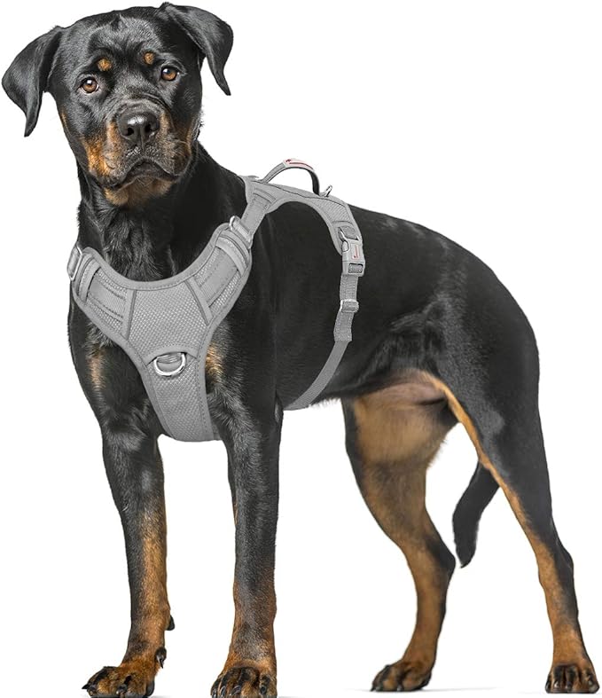 BARKBAY No Pull Dog Harness Large Step in Reflective Dog Harness with Front Clip and Easy Control Handle for Walking Training Running with ID tag Pocket(Grey