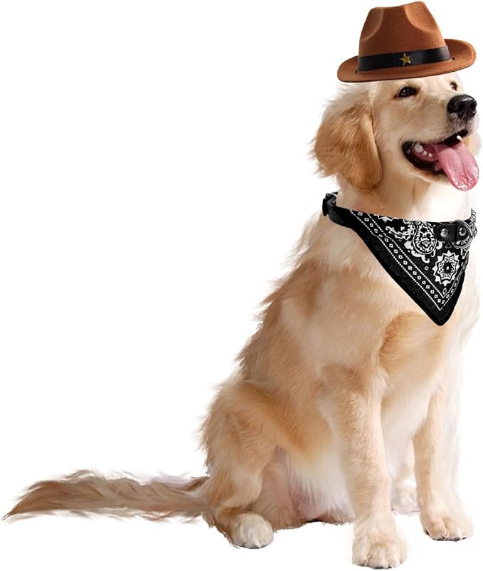 Fumwase Small Dog Cowboy Hat Halloween Costumes for Dogs Cat Pet Cowboy Costume Puppy Hats Dog Costume Dog Cat Costume Accessories for Party Festival and Daily Wearing (Brown Hat + Black)