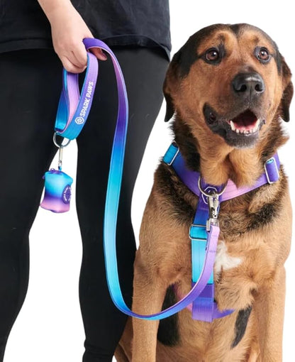 Spark Paws Premium Dog Leash & Poop Bag Set 90s Retro
