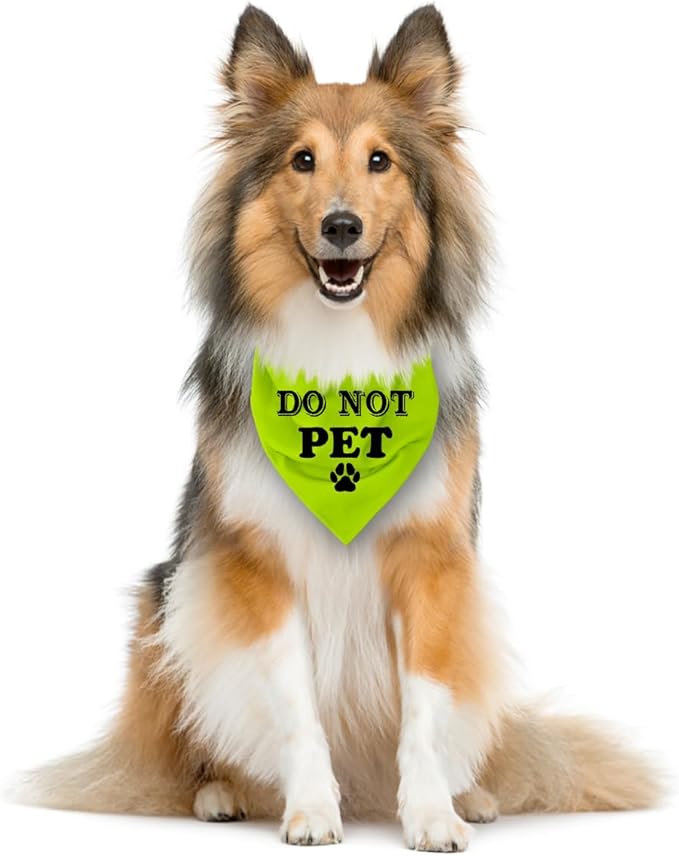 Do Not Pet Dog Bandana (D39)