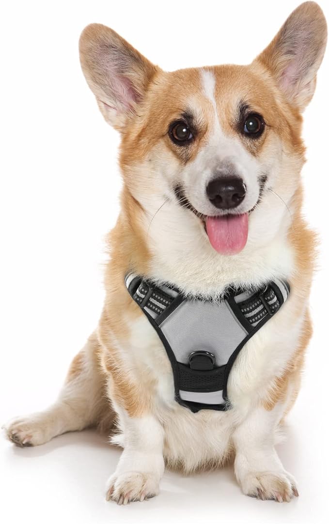 rabbitgoo Dog Harness 2 Leash