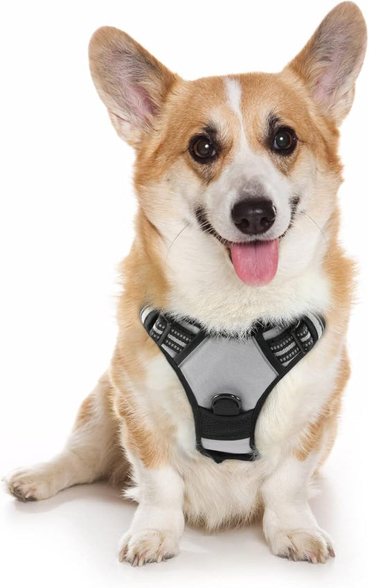 rabbitgoo Dog Harness, No-Pull Pet Harness with 2 Leash Clips, Adjustable Soft Padded Dog Vest, Reflective No-Choke Pet Oxford Vest with Easy Control Handle for Medium Dogs, Grey, M