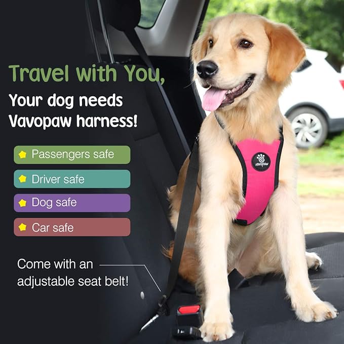 Dog Vehicle Safety Vest Harness, Adjustable Soft Padded Mesh Car Seat Belt Leash Harness with Travel Strap and Carabiner for Most Cars, Large Size, Magenta