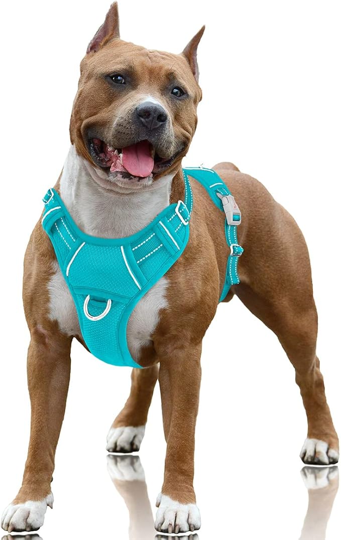 BARKBAY No Pull Dog Harness Large Step in Reflective Dog Harness with Front Clip and Easy Control Handle for Walking Training Running with ID tag Pocket(Ocean Blue,L)