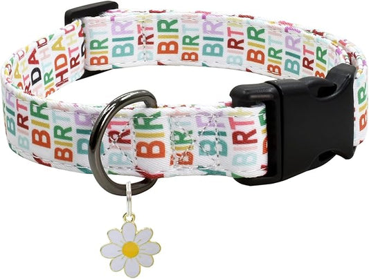 Flower Patterns Dog Collar with Accessories