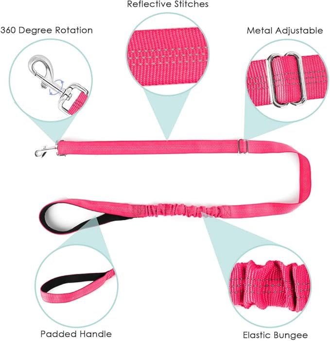 Lukovee Dog Harness and Leash Set, Soft Padded Small Dog Harness, Neck & Chest Adjustable Reflective Vest Puppy Harness with 4ft Lightweight Anti-Twist Dog Leash for Small Dogs (X-Small, Pink)