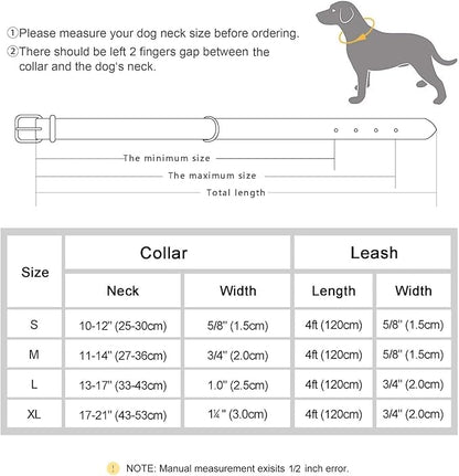 Didog Soft Padded Leather Dog Collar and Leash Set 4FT Leather