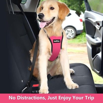 Dog Vehicle Safety Vest Harness, Adjustable Soft Padded Mesh Car Seat Belt Leash Harness with Travel Strap and Carabiner for Most Cars, XXL Size, Magenta